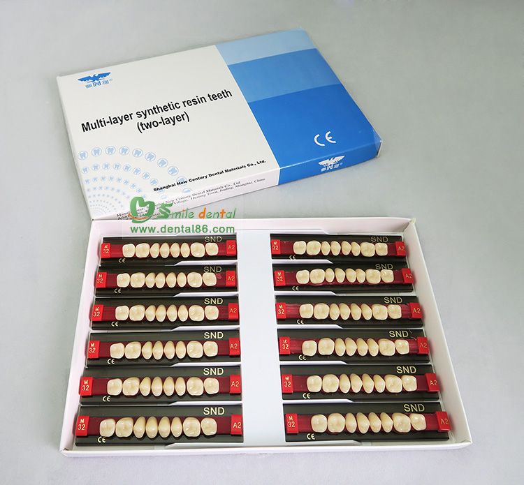 SDT-R202 Two Layer Acrylic Resin Teeth